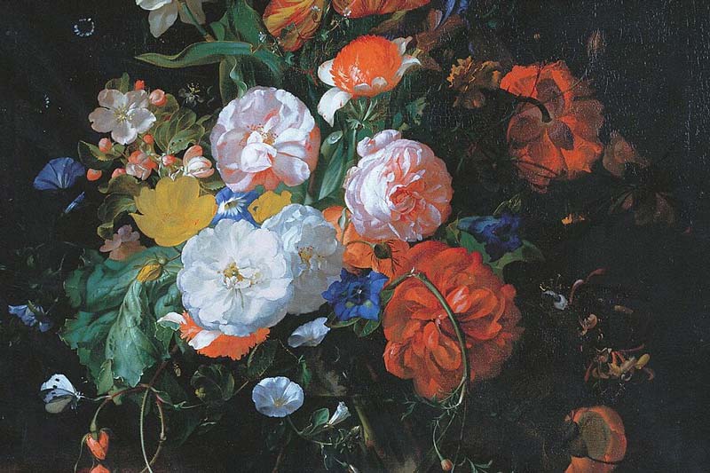 From August 23 to December 7, 2025, the Museum of Fine Arts Boston presents the exhibition “Rachel Ruysch: Artist, Naturalist, and Pioneer”
theartwolf.com/exhibitions/ra…