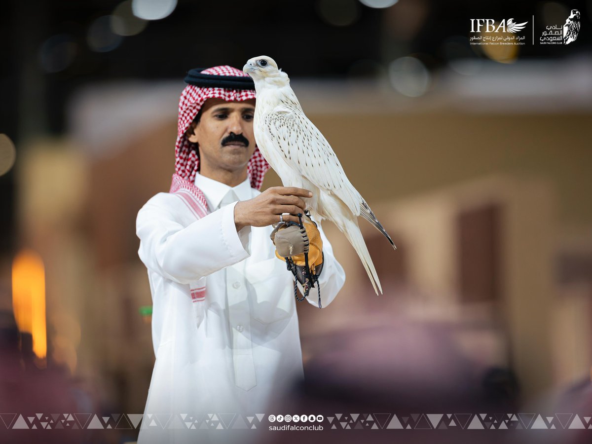 NCFSaudi's tweet photo. 📸| سوبر وايت.. سلالة نادرة تكتب فصلًا جديدًا في #المزاد_الدولي_لمزارع_إنتاج_الصقور 2025
#فعاليات_الصقور2025 https://t.co/VpAMgV1w5n
