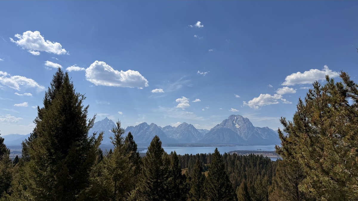 karissa (@noblewestars) on Twitter photo 