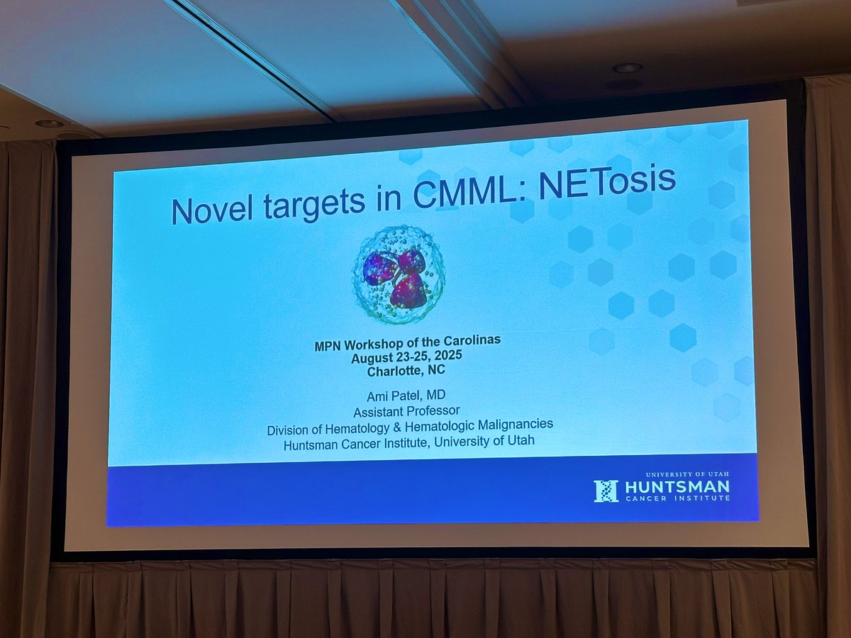 doctorpemm's tweet image. 👉Phenomenal talk here at our #MPNWorkshop25 by Dr .@AmiBPatelMD on a new cutting -edge new emerging area #NETosis in CMML | #MPNSM  | @TheElfLab @mpdrc @KuykendallMd @sanamloghavi @TaniaJain11 @RaajitRampal @Anand_88_Patel @mtmdphd