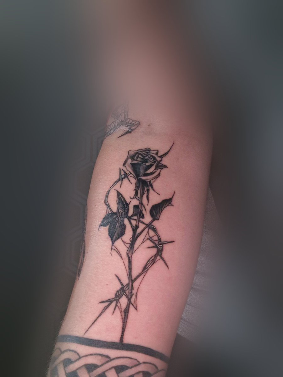 JustFrozyn tweet media