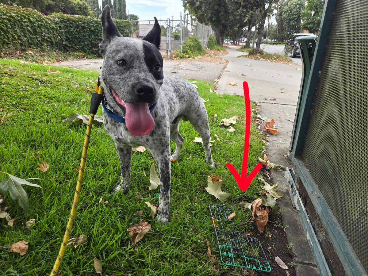 I never thought I'd find a discarded gunpla runner at a random bus stop. I'm wasn't ready for Gundam to be mainstream yet but here we are.

(Dog's name is Oatmeal, he's a foster situation)