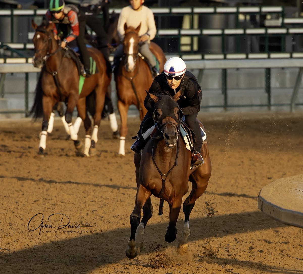 SeaWarriorStbls's tweet image. DERRY GIRL is always ready for a closeup!