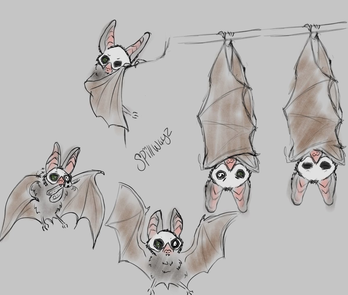 you enjoyed the last one so some more batpetua 🤲🦇

#ghostbc #papavperpetua