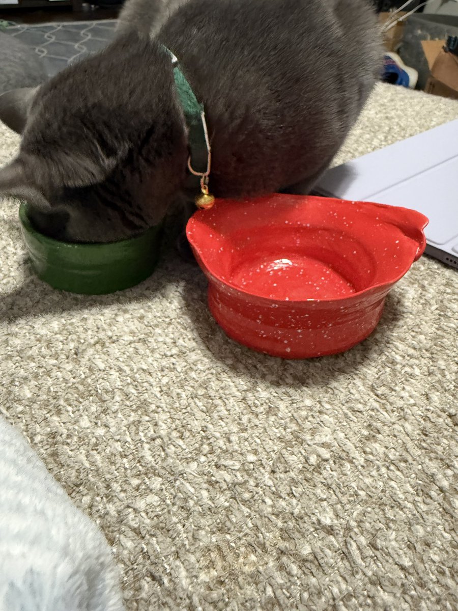 Mom! Your bowls you made are empty. Where’s the food? Where’s the water?