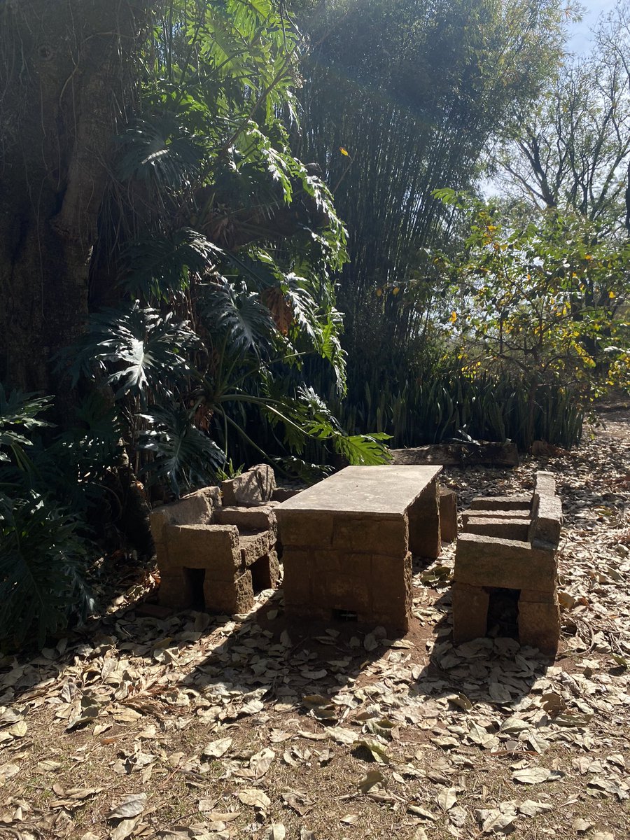 visitando casa do sol, guardiã do corpo de hilda