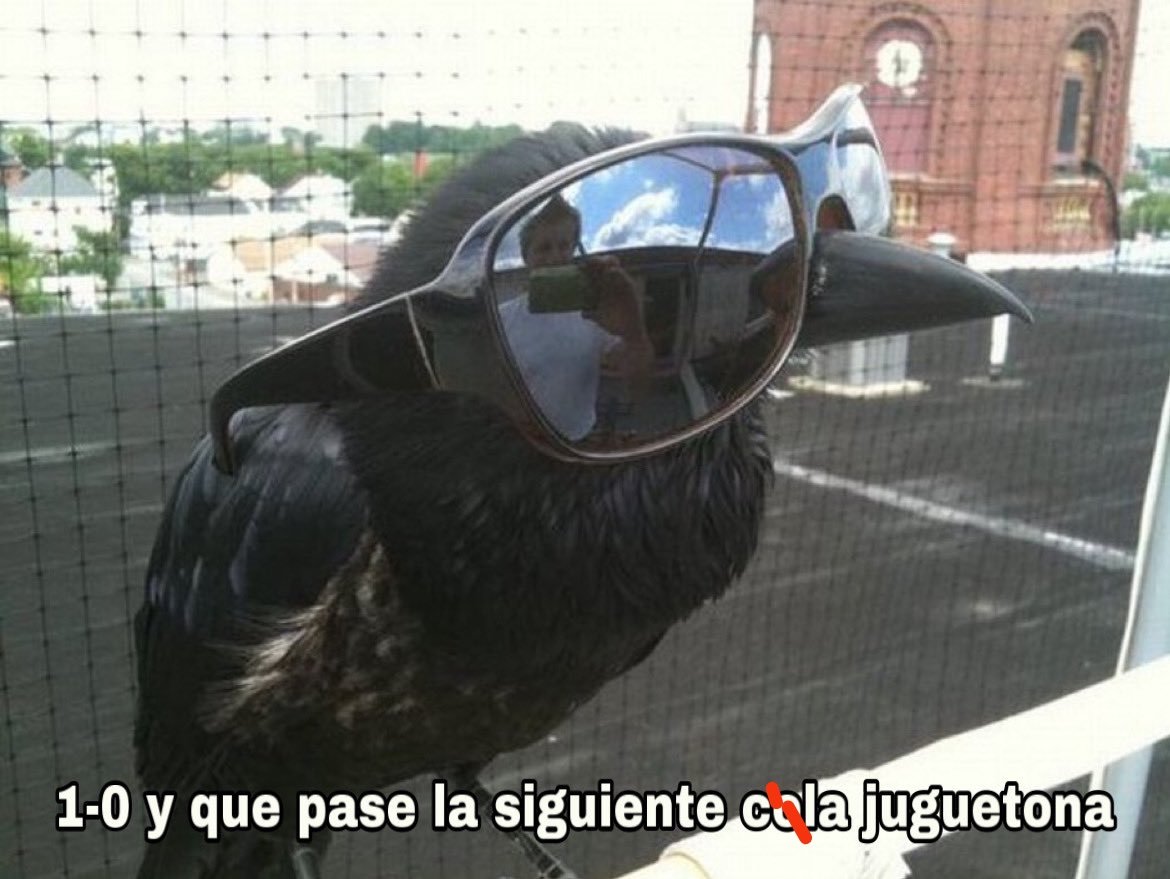 ♥️💙🐦‍⬛😎