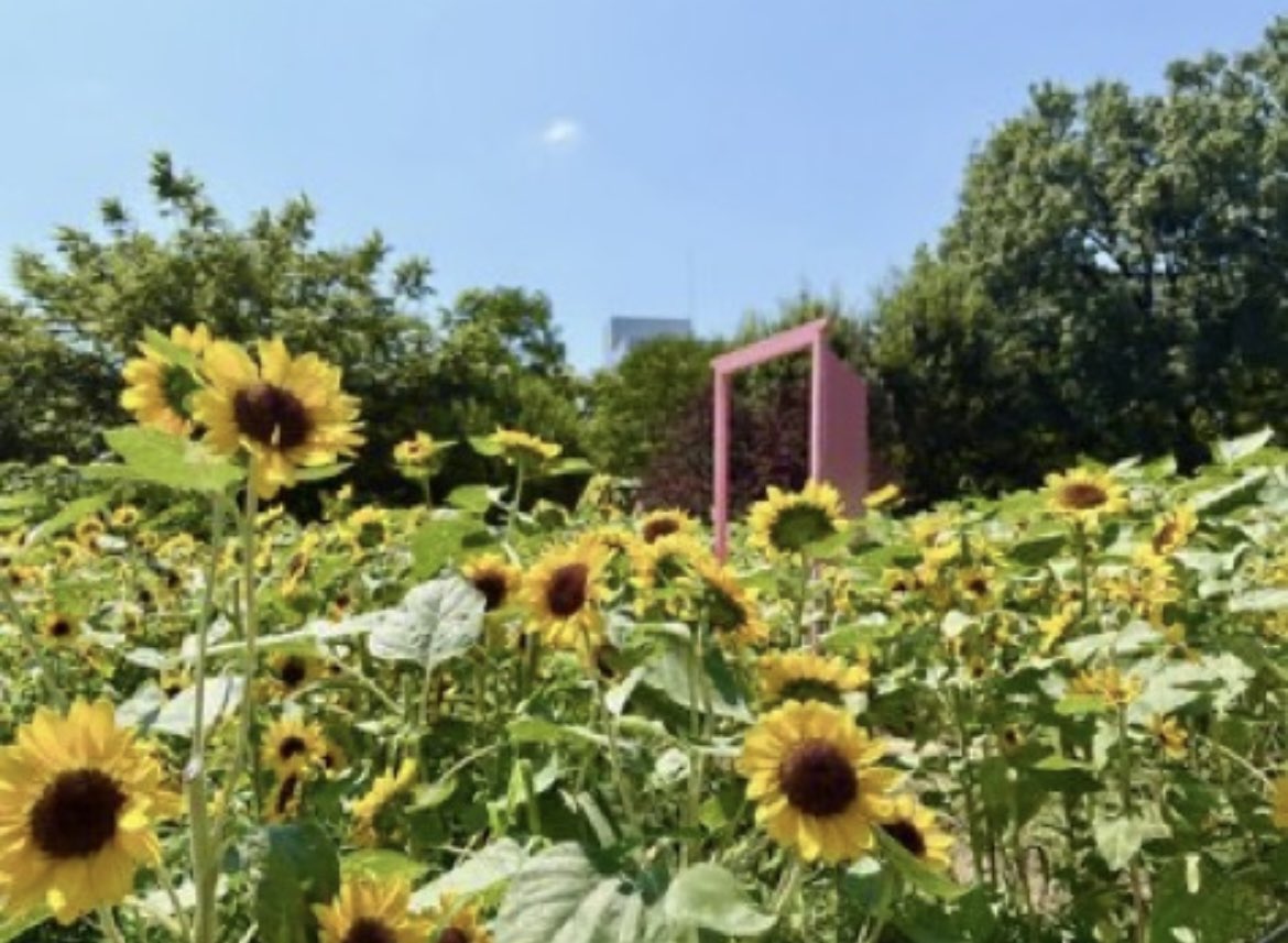 ８月24日（日曜日）
ましゃ💕皆様
おはようございます☕𓈒𓏸︎︎︎︎
優しい繋がりに感謝します🙏
いつもありがとうございます♡
DOMELIVE🎸で後6日
座席も決まり楽しみ🙌✨🥰
体調気をつけて元気にLIVE参加したいです
🎸🏟
笑顔で心穏やかな良い日曜日を💐🍀*゜
今日も宜しくお願いします🙇
#BROS1991