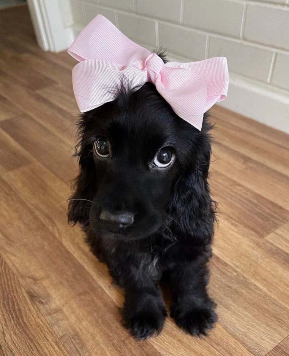 What would you name her ?
