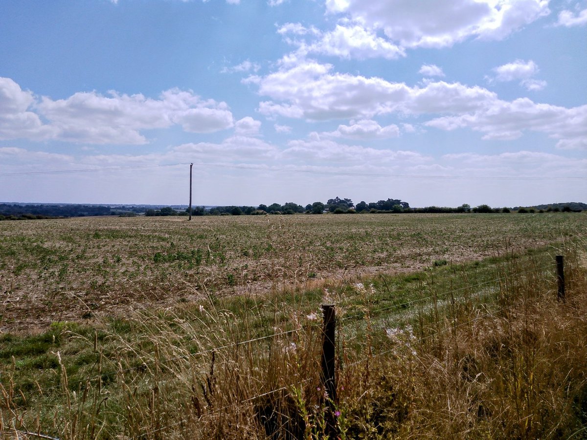 phil0073's tweet photo. Views across #FaxtonFields on the #Foxhall2HangingHoughton way in August .#PhilOnaBike #weekendwandering #FootpathFriday #clouds https://t.co/NN4KRXratJ