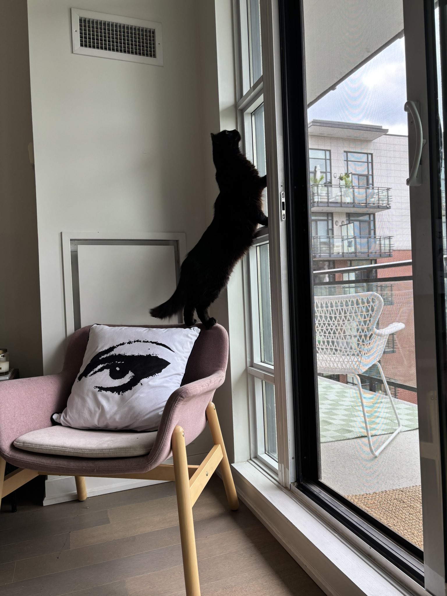 Emma Chapple on X: t.coieMNPMzgpe  X