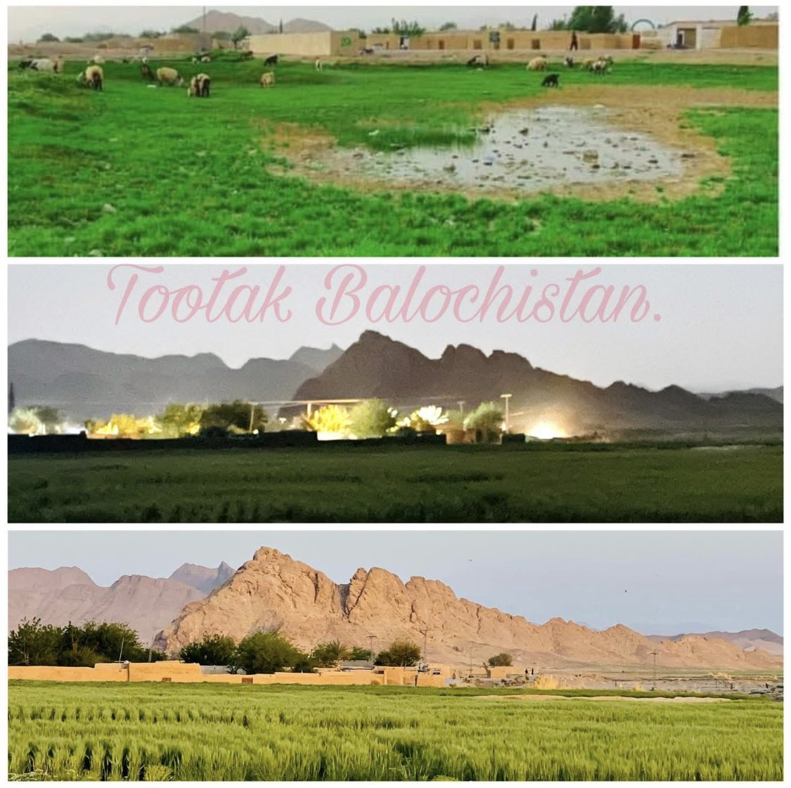 "یہ داغ داغ اُجالا، یہ شب گزیدہ سحر،
وہ انتظار تھا جس کا، یہ وہ سحر تو نہیں۔"

توتک کی گلیاں برسوں سے خوف اور خاموشی کی گواہ ہیں۔ دو دہائیوں سے اس سرزمین نے زخم سہنے کے سوا کچھ نہیں دیکھا۔ یہاں ماؤں نے بیٹوں کے جنازے اٹھائے، بہنوں نے بھائیوں کی مسخ شدہ لاشوں کو پہچانا، اور باپوں