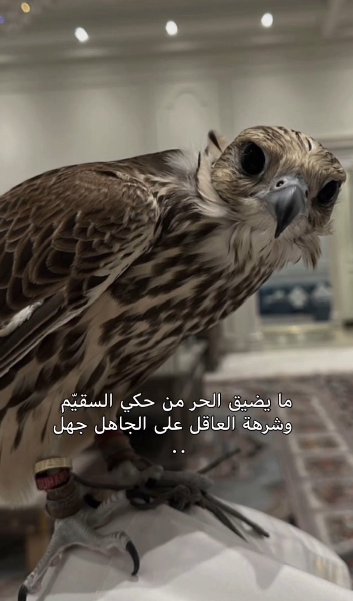 amory303 (@amory303) on Twitter photo 