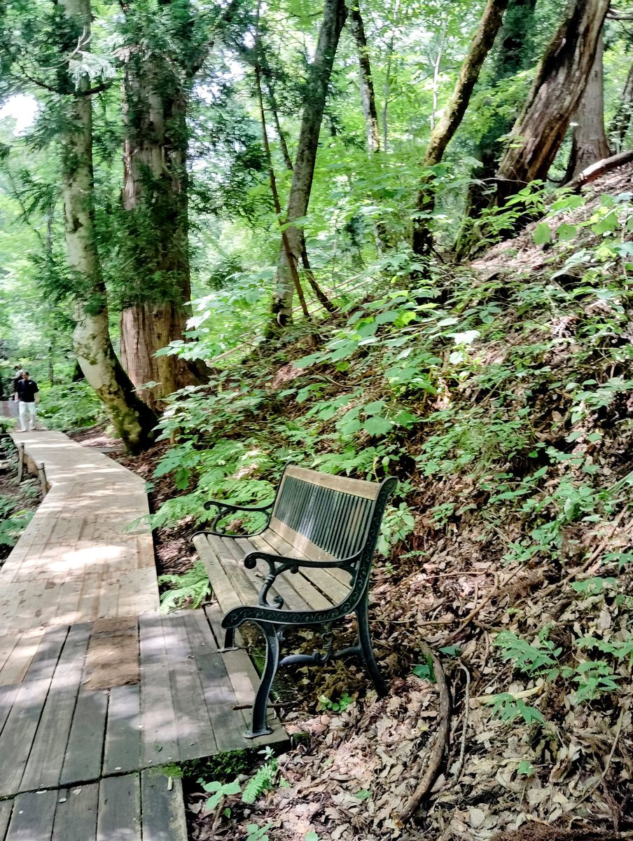 FWLMacZ95u95352's tweet photo. 🍃 Close Your Eyes and Listen
> *Close your eyes for a moment.
> Listen—leaves rustle like whispers,
> a bird begins its song in the distance,
> and even your breath melts into the harmony.*
🌿🎶😌 📸
- #ForestSymphony
- #BreathOfNature
- #QuietHarmony https://t.co/qq7HIpcd44