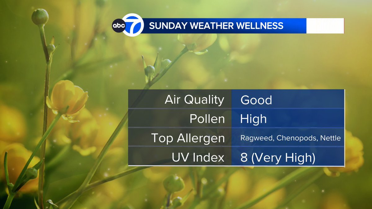 Weather Wellness
