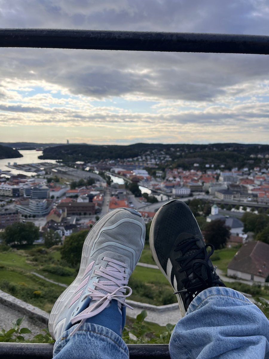 dest 虎 (@xdest_) on Twitter photo 