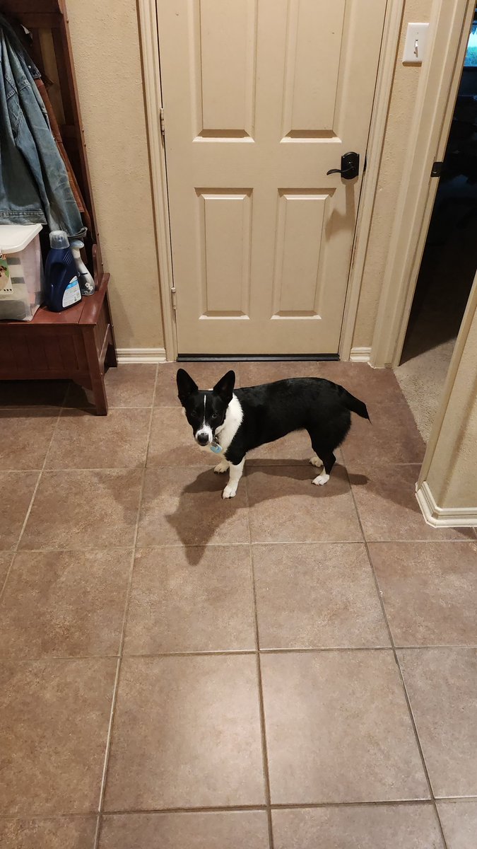 WHY is he so GODDAM  small