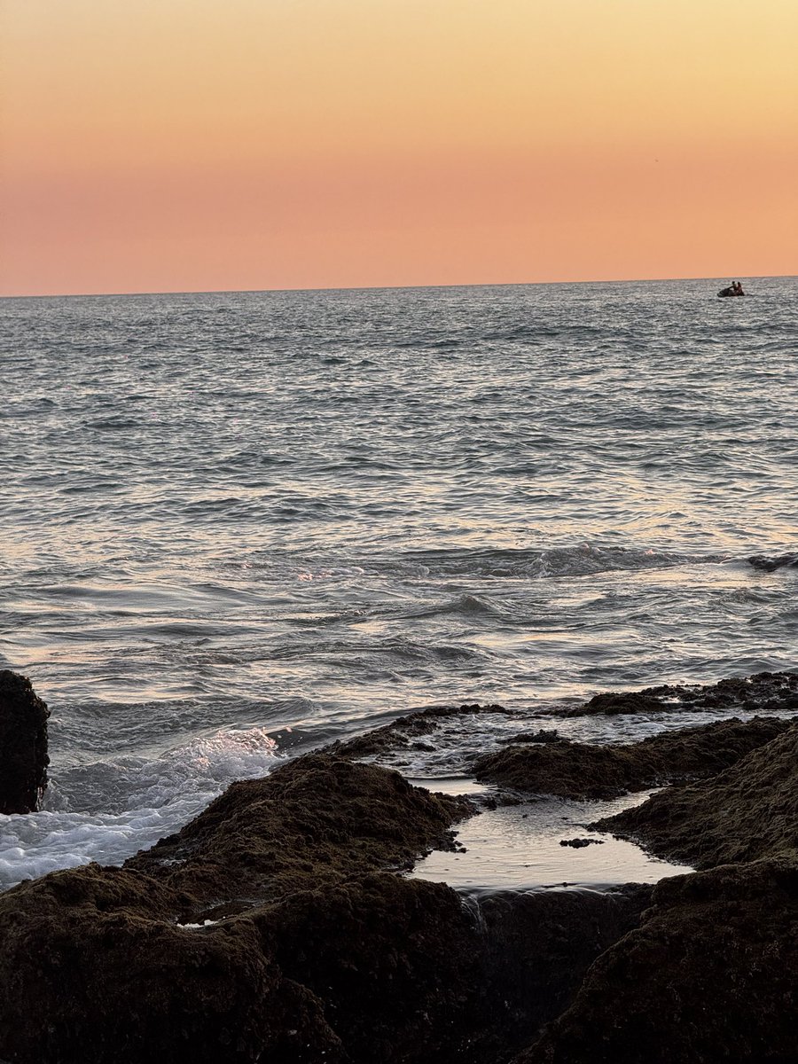 Eliaa_sufu's tweet image. El sur y tu✨