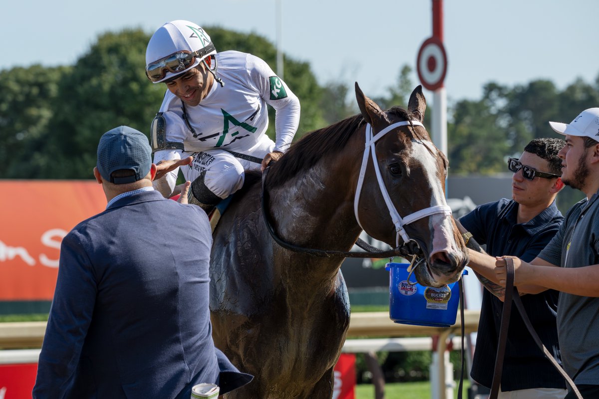 Erica Miller tweet media