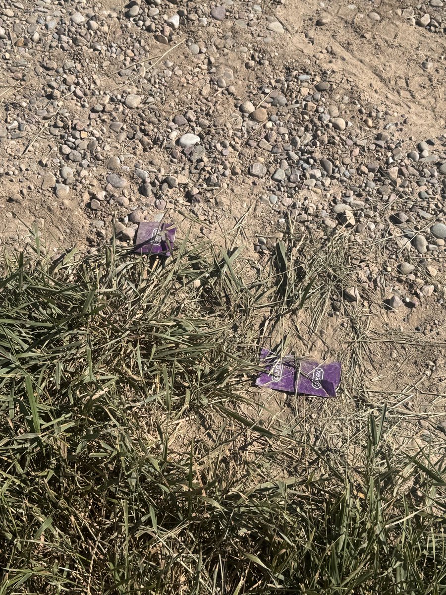 Somebody has really been enjoying themselves in the approach to our barley field!
