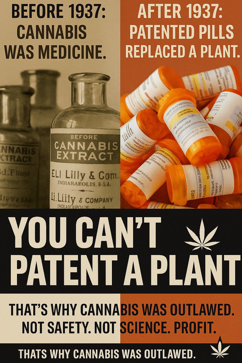 SaltyTexasGirl (@saltytexasgirl) on Twitter photo Hey <a href="/DanPatrick/">Dan Patrick</a>, let’s talk about why cannabis got outlawed in the first place. 🌿
Spoiler: it wasn’t about public safety. It was about profit. Hey <a href="/DanPatrick/">Dan Patrick</a>, let’s talk about why cannabis got outlawed in the first place. 🌿
Spoiler: it wasn’t about public safety. It was about profit.