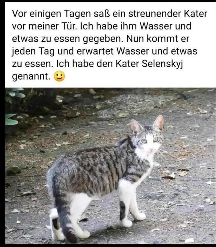 Schopen Christian (@schopen_71) on Twitter photo 