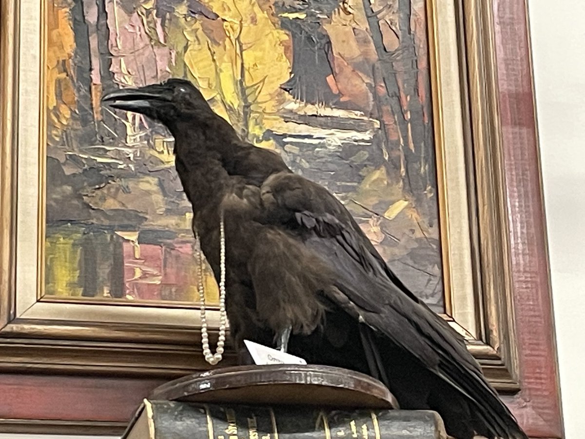 I encountered this pair in a store today 😳😔🖤🖤 ⁦<a href="/thebrewboy/">Jason Cann</a>⁩ 
Glad we have moved on from those days (mid 1800’s I think)