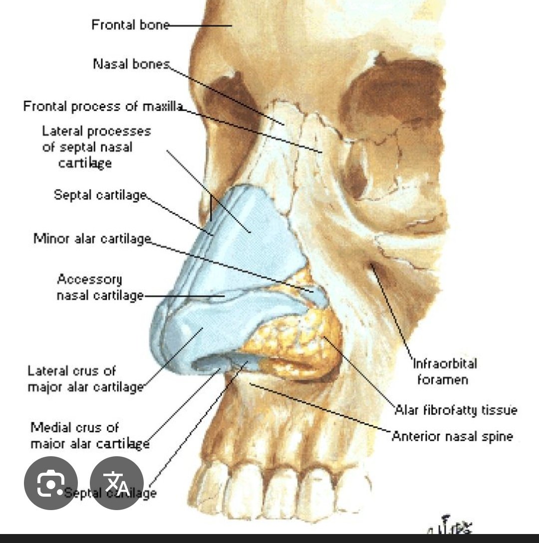 Xayide27 tweet media