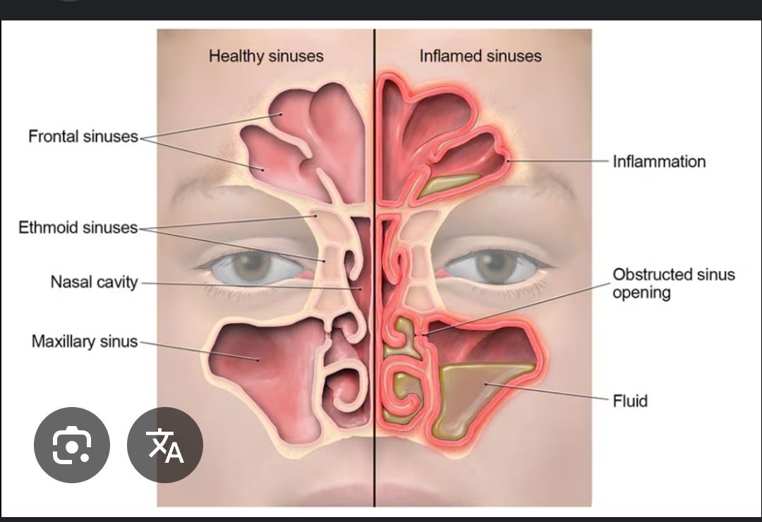 Xayide27 tweet media