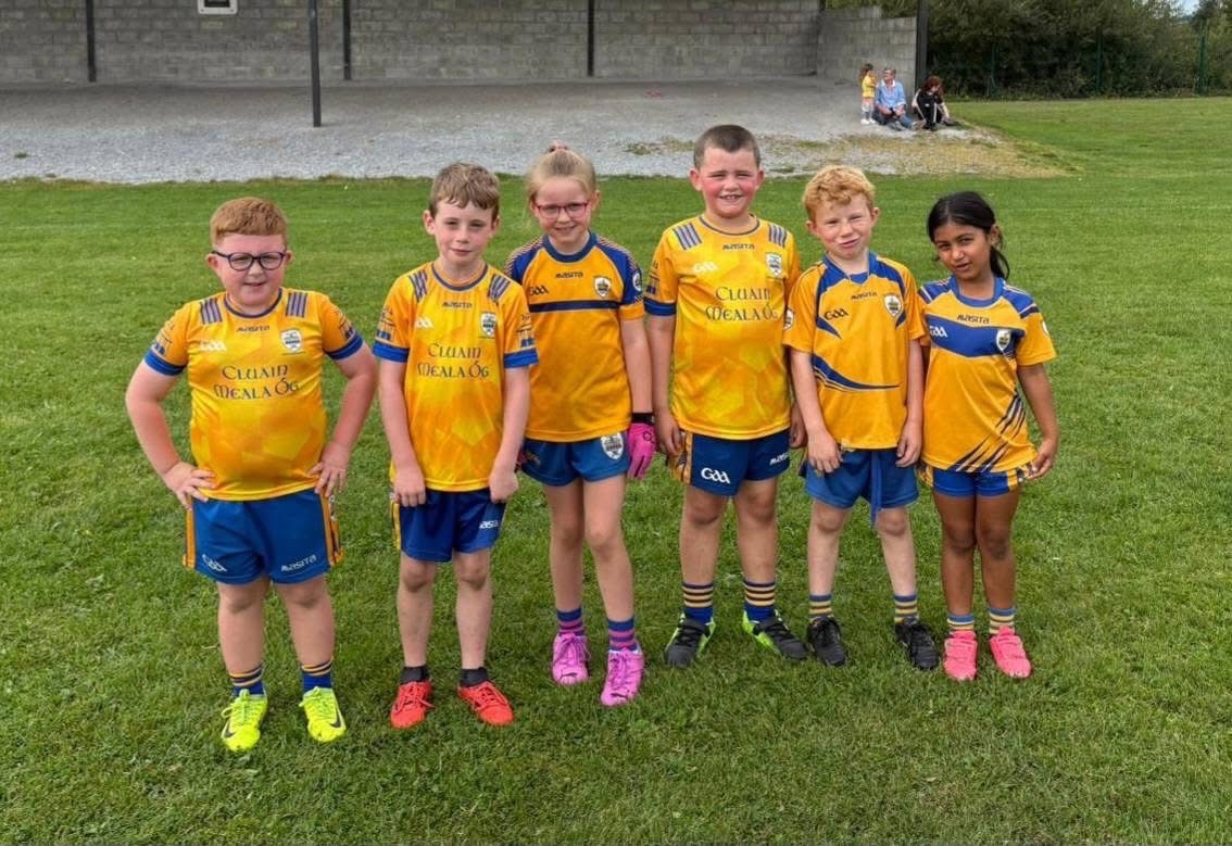 clonmel_og's tweet photo. A great u7 Go Games blitz hosted by @Ballingarry_GAA this morning.
Lots of small sided games &amp; opportunities to show off their skills &amp; develop for our Ógies.
Thanks to our coaches, parents &amp; @tippgamesdev for organizing.
@NoelWalshie 
@DavidWall101 https://t.co/vFnslRPJiq