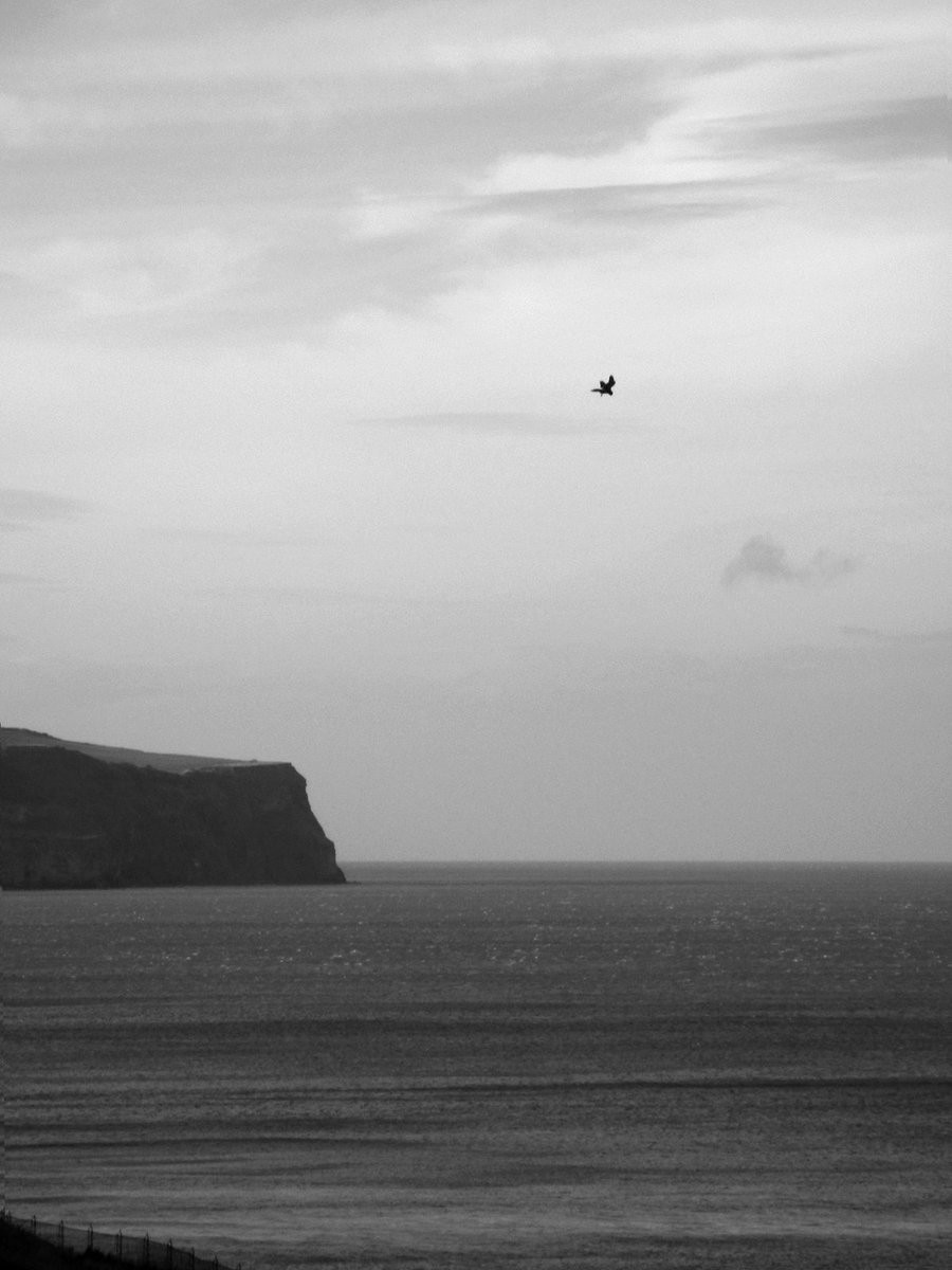 Christopher Corner tweet media