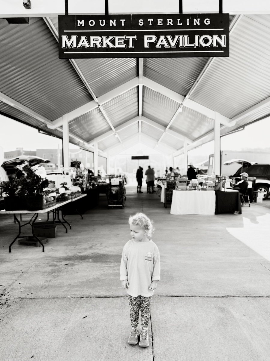 Tim Savage tweet media