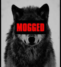 $Mogger is going hard