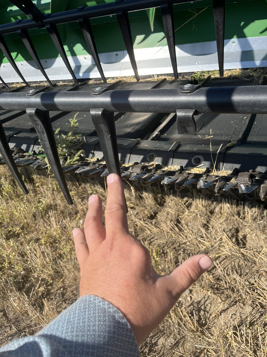 Scott Lamb tweet media