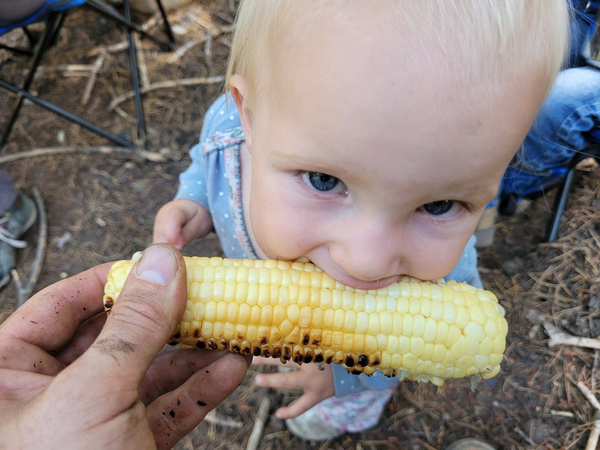 Salted Nuts (@extrasaltednuts) on Twitter photo I underestimated how much of my corn she would eat. 🥲 I underestimated how much of my corn she would eat. 🥲