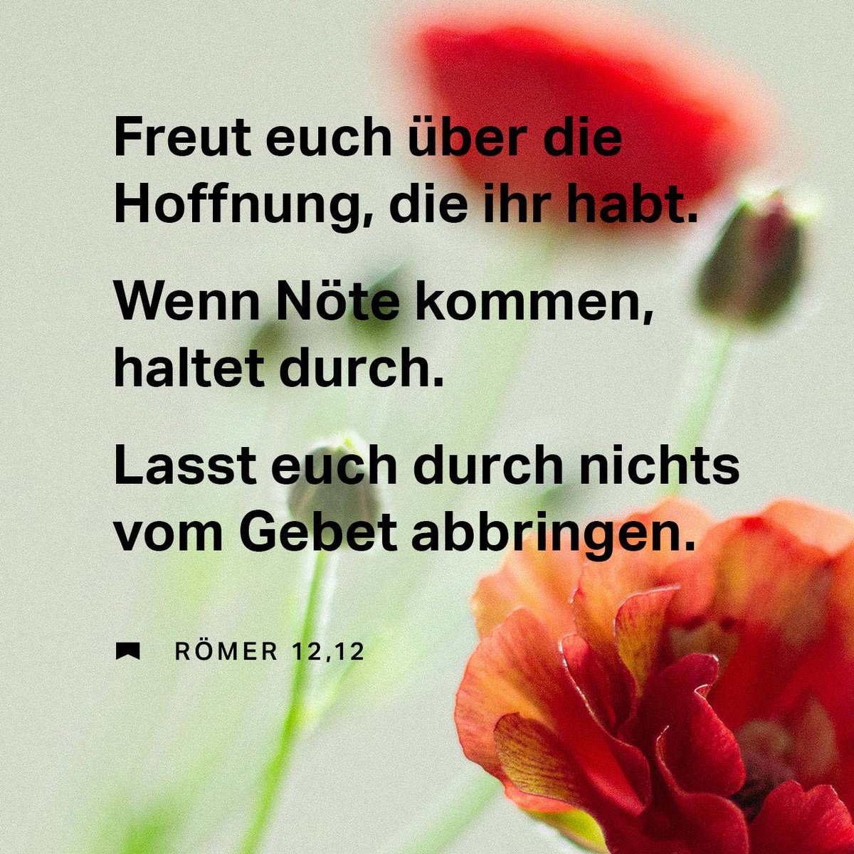 Vom #Minus zum #PLUS - #göttliches #Tageswort für den 23.08.2025: minus-plus.de