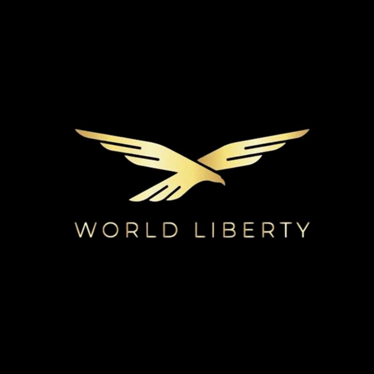 🚨 NEW: Hyperliquid listed WLFI-USD hyperps, letting traders long or short $ WLFI with 3x leverage.