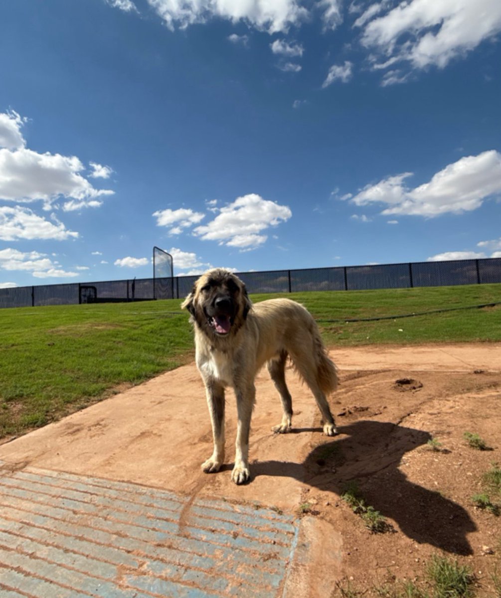 Someone knows the boys are back in town!