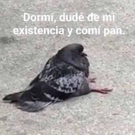 M O T I V A N D O T E (@m0tivand0te) on Twitter photo 