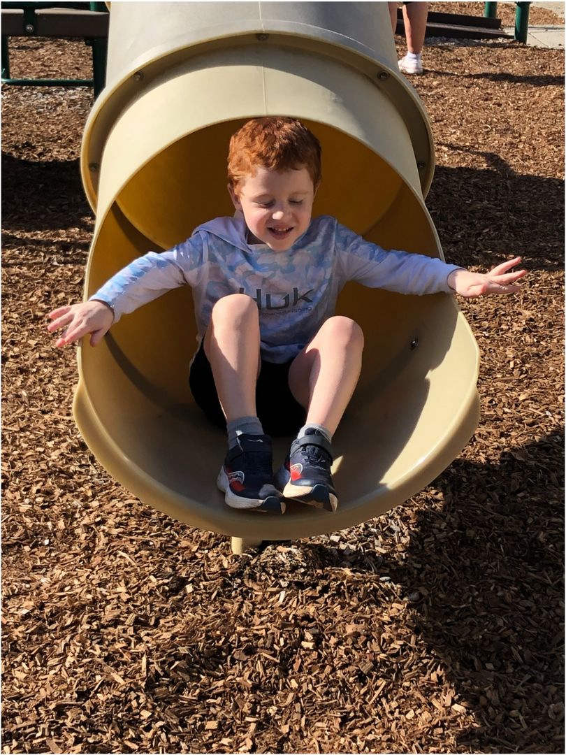 Joy = <a href="/BarringtonELC/">Early Learning Center</a> full of students! ❤️🦓