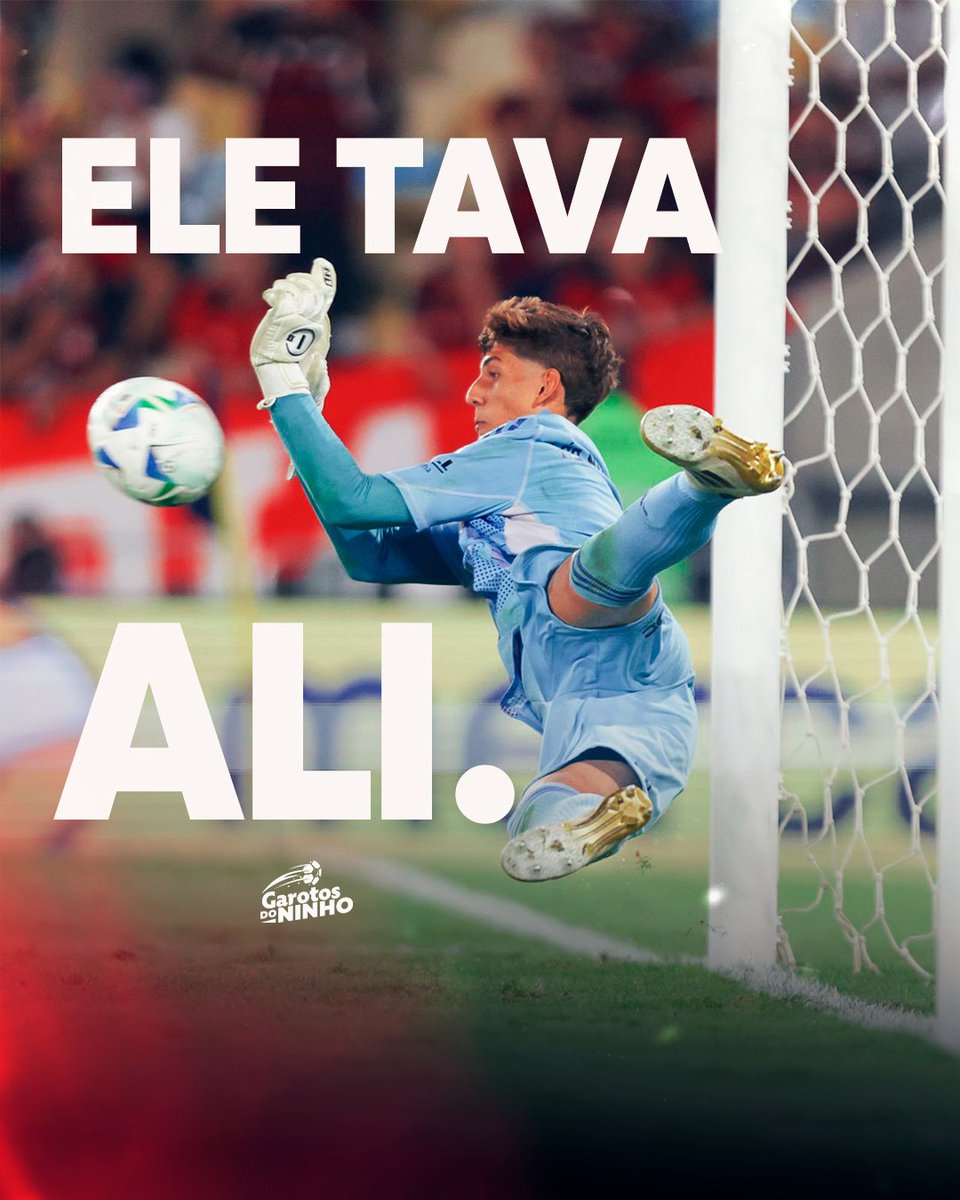 "Eu to aqui!". Falou e se garantiu.

Duas 𝑫𝑬𝑭𝑬𝑺𝑨𝑺 de Léo Nannetti e MENGÃO BICAMPEÃO!

#Campeão #pics #GarotosDoNinho