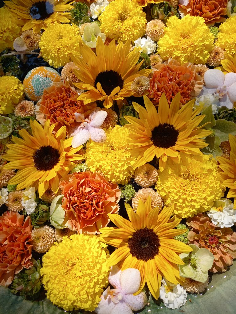 おはようございます
(*˘︶˘*).｡.:*♡🧃🍩☀
厳しい暑さが続きます
熱中症 対策してくださいね🥤
今日もゆっくり
よろしくお願いします🙇
素敵な日曜日をお過ごしください
🩷🤍⟡.*🎀.*･ﾟ🤍🩷♪♪̆̈♬♡*̣̥*♪