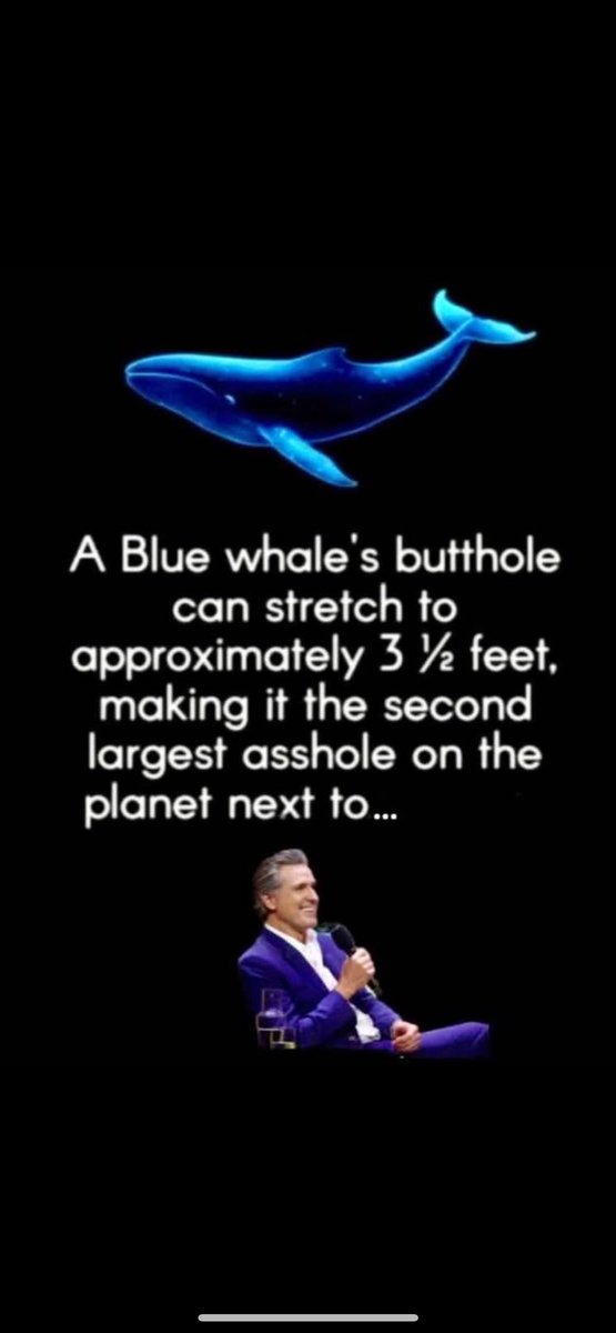 StevenM79978699's tweet photo. @GavinNewsom @realDonaldTrump https://t.co/SVqqFNXTLa