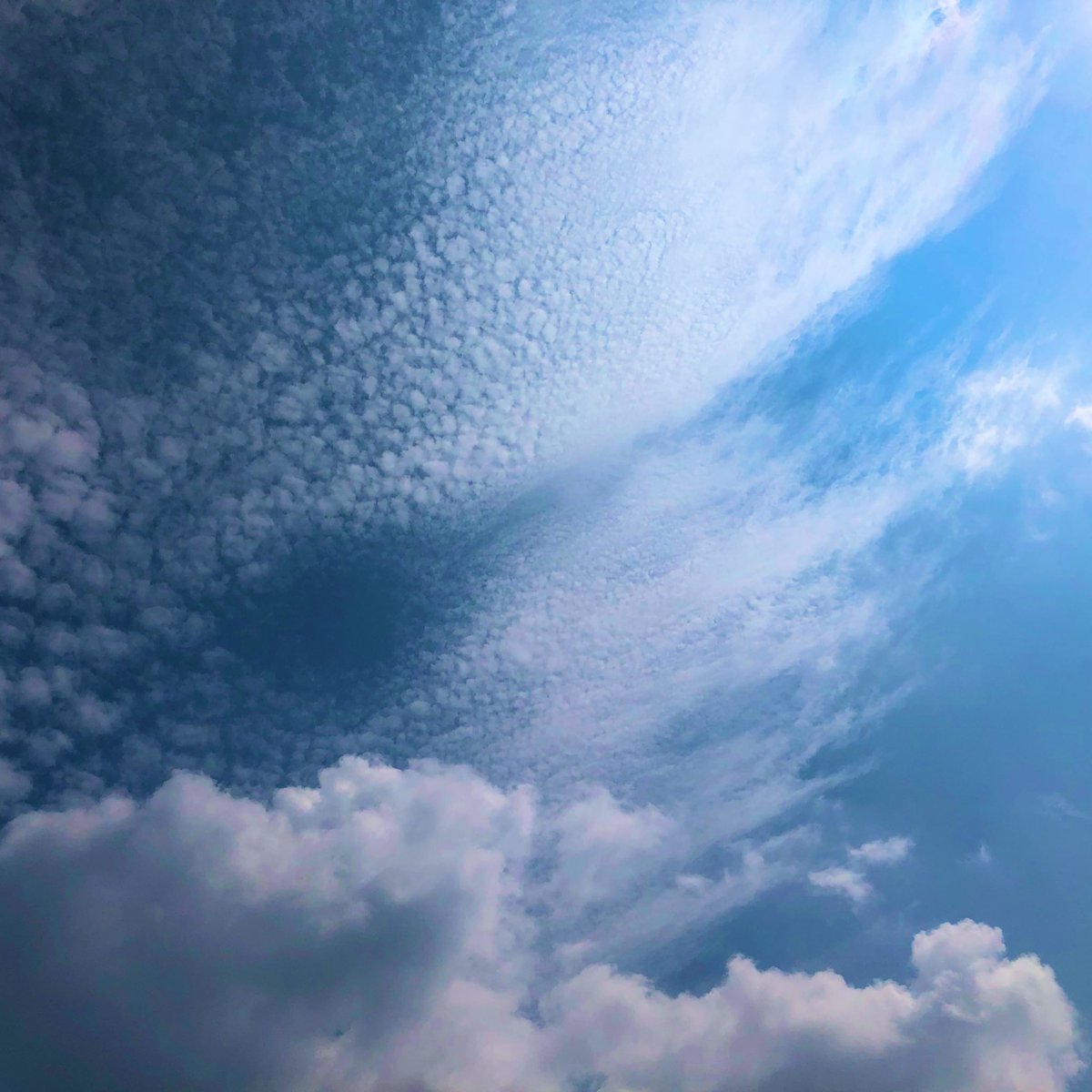 おはようございます！
今日は8月24日、日曜日ですね。

いつもありがとうございます。

今日もよい一日でありますように🍀

#空がある風景 
#キリトリセカイ 
#ファインダー越しの私の世界