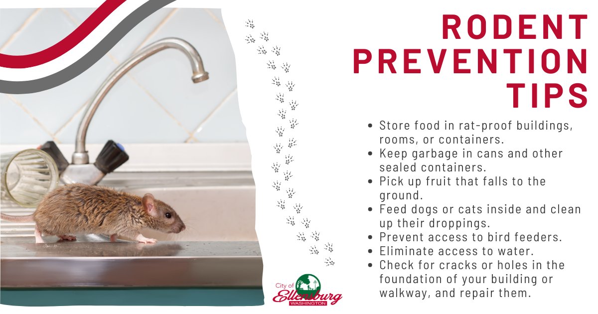 Did you know it only takes a tiny gap for rodents to invade your home? Mice can squeeze through openings as small as a dime, and rats only need a hole the size of a quarter. Seal small openings around your home to prevent unwelcome guests. Keep pests away!