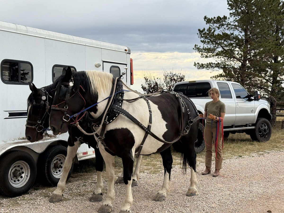 Day 231.  Great day.