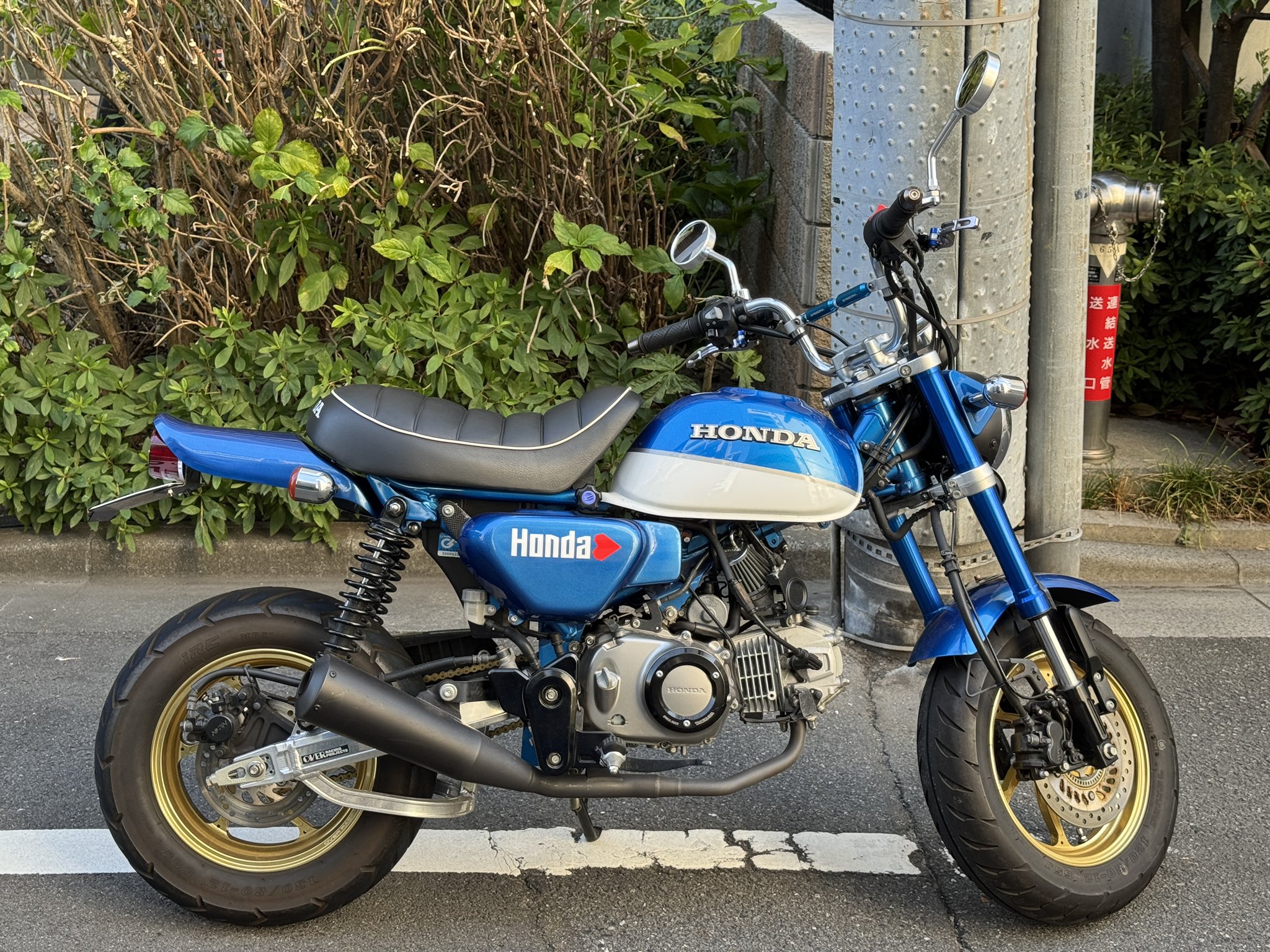 キャッツファクトリー - Search / X