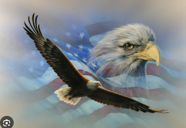 SATURDAY PATRIOTS who follow back:
<a href="/Codyservestruth/">CodyServantOfChrist</a> 
<a href="/BorstnarGary/">old school live to ride ride to live</a> 
<a href="/cam_driskill/">cam driskill</a> 
<a href="/KingHonkee/">Cosmic Honkey</a> 
<a href="/starr4865/">✨ Starr ✨🇺🇸</a> 
<a href="/RichardImmoos/">Uncle Snake 🐍</a> 
<a href="/NowaysThoughts/">Noways Thoughts</a> 
<a href="/carimeli/">C.A.</a> 
<a href="/AnonEagleQ/">🦅 AnonymousEagleQ aka WILDKITTY 🦅</a> 
<a href="/Cfreeman21_/">CFreeman21</a> 
<a href="/CardRocker0007/">Paul Kinkade</a> 
<a href="/GetBlazedSon/">Blaze</a> 
<a href="/Weldryt/">Millryt</a> 
<a href="/it89az/">Igor__The_Terrible</a>