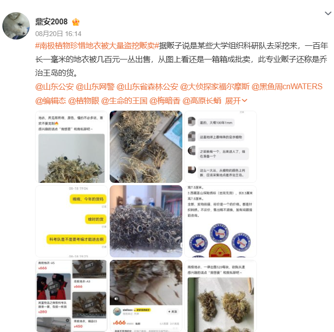 李老师不是你老师 tweet media