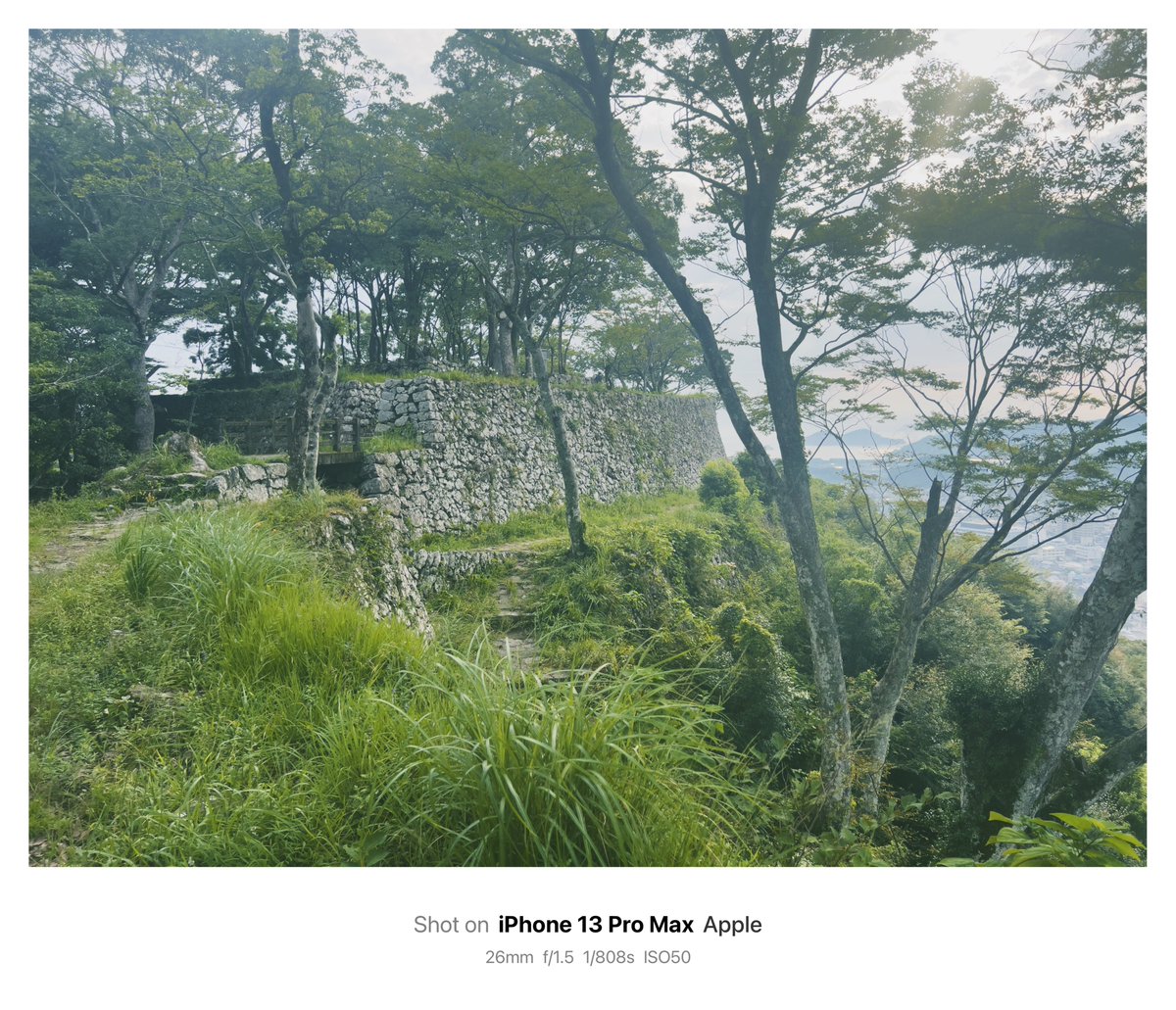 久々来たら間伐されててびっくりしました…
#佐伯城